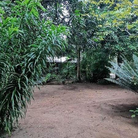 Sigiri Mango Garden Eco Resort سيغيرِيا المظهر الخارجي الصورة