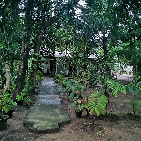 Sigiri Mango Garden Eco Resort سيغيرِيا المظهر الخارجي الصورة