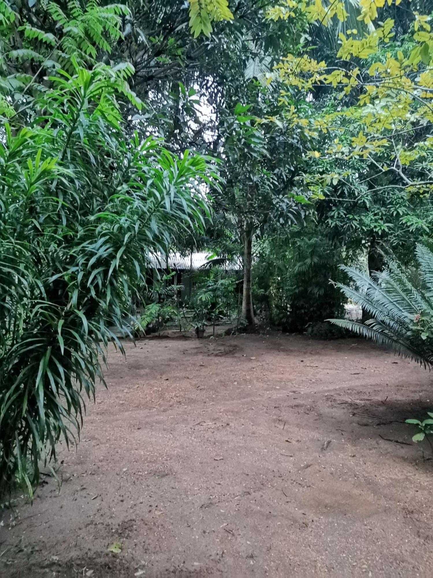Sigiri Mango Garden Eco Resort سيغيرِيا المظهر الخارجي الصورة