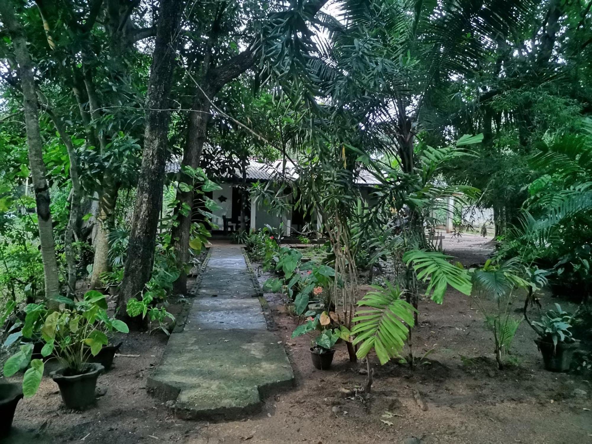 Sigiri Mango Garden Eco Resort سيغيرِيا المظهر الخارجي الصورة