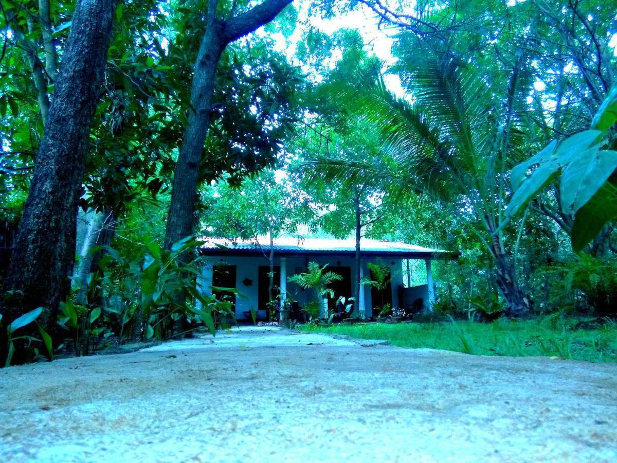 Sigiri Mango Garden Eco Resort سيغيرِيا المظهر الخارجي الصورة